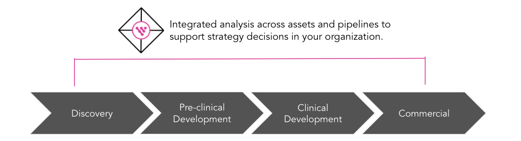 integrated analysis across assets and pipelines to support strategy decisions in your organization